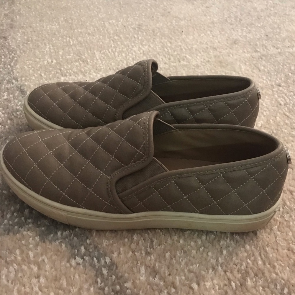 Steven Madden Ecentrcq sneakers